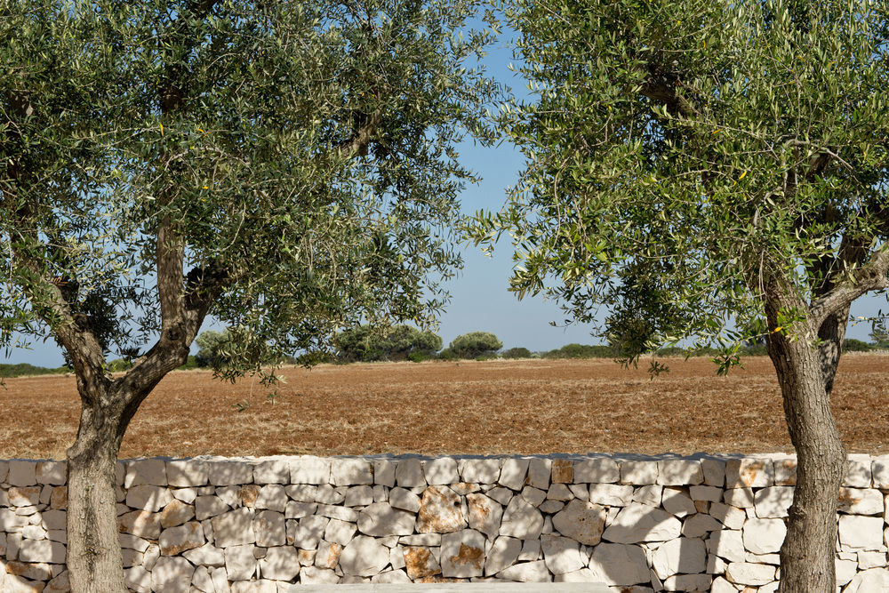 Grand Hotel Masseria Santa Lucia Ostuni Exteriör bild